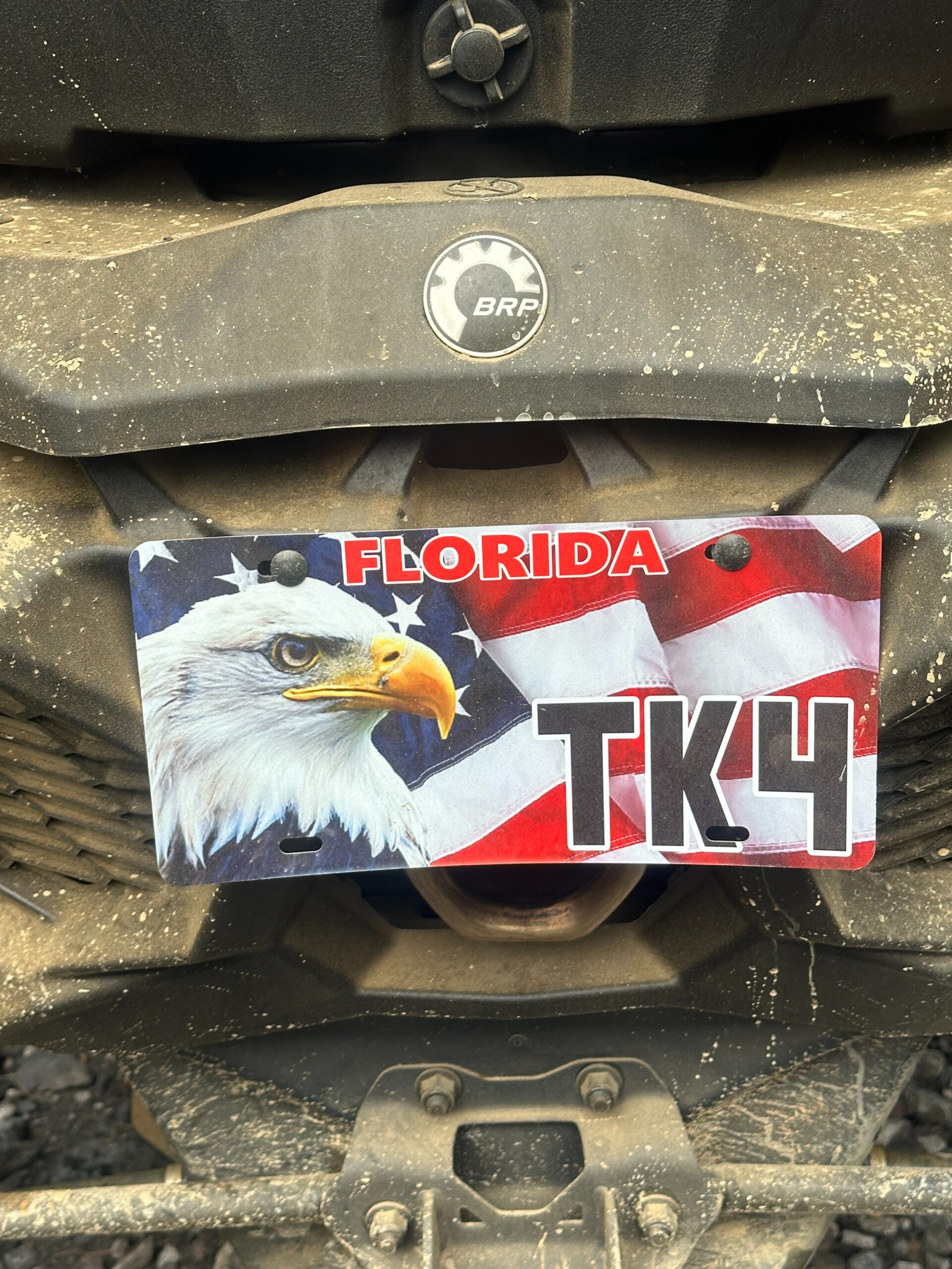 Eagle License Plate (Personalized)